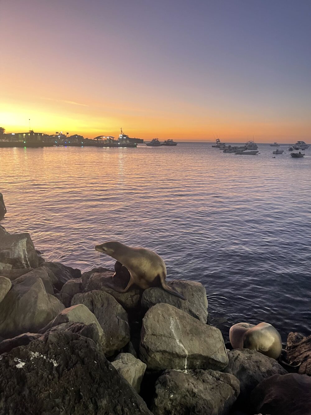 How to travel to Galapagos