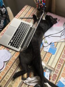 How to learn spanish online